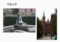 칼스버그 기업분석과 칼스버그 마케팅 SWOT,STP,4P전략분석및 칼스버그 향후시사점 PPT-9