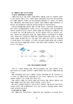 (청소년문제) 청소년 약물남용, 가출문제의 실태와 문제점 및 청소년 복지 방안-18