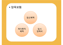 [선진국의 유아교육] 스웨덴 육아정책 개관 및 동향과 유아교육, 보육에 대한 분석과 교훈점-4