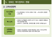 [A+ 추천레포트][장애인복지 정책] 장애인의 개념, 장애인복지 정책의 역사, 정애인복지 정책 분석, 장애인복지정책 현황, 문제점 및 장애인복지 정책 개선방안-19