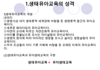 [우수레포트] [생태유아교육 모든 것] 생태유아교육 개념, 생태유아교육 특징, 생태유아교육 모든 것PPT자료 수정 다운 홍보-4