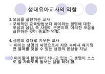 [우수레포트] [생태유아교육 모든 것] 생태유아교육 개념, 생태유아교육 특징, 생태유아교육 모든 것PPT자료 수정 다운 홍보-13