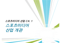 [우수레포트]스포츠 미디어 산업 분석]스포츠 미디어 산업의 현황과 문제점 및 스포츠 미디어산업의 발전방향-3