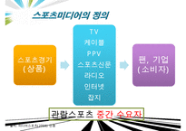 [우수레포트]스포츠 미디어 산업 분석]스포츠 미디어 산업의 현황과 문제점 및 스포츠 미디어산업의 발전방향-5