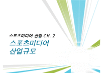 [우수레포트]스포츠 미디어 산업 분석]스포츠 미디어 산업의 현황과 문제점 및 스포츠 미디어산업의 발전방향-13