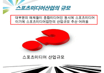 [우수레포트]스포츠 미디어 산업 분석]스포츠 미디어 산업의 현황과 문제점 및 스포츠 미디어산업의 발전방향-14