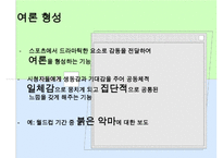 [A+ 추천레포트]스포츠저널리즘 수정 다운 홍보-10