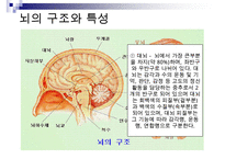 [A+ 추천레포트]아동미술교육] 아동미술교육(어린이미술교육)의 의의와 필요성, 아동미술교육(어린이미술교육)의 관련활동, 아동미술교육(어린이미술교육) 정신분석학적 관점과 심리학, 아동미술교육(어린이미술교 수정 다운 홍보-8