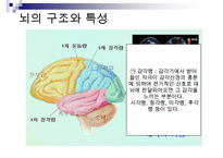 [A+ 추천레포트]아동미술교육] 아동미술교육(어린이미술교육)의 의의와 필요성, 아동미술교육(어린이미술교육)의 관련활동, 아동미술교육(어린이미술교육) 정신분석학적 관점과 심리학, 아동미술교육(어린이미술교 수정 다운 홍보-9