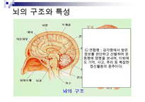 [A+ 추천레포트]아동미술교육] 아동미술교육(어린이미술교육)의 의의와 필요성, 아동미술교육(어린이미술교육)의 관련활동, 아동미술교육(어린이미술교육) 정신분석학적 관점과 심리학, 아동미술교육(어린이미술교 수정 다운 홍보-10
