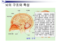 [A+ 추천레포트]아동미술교육] 아동미술교육(어린이미술교육)의 의의와 필요성, 아동미술교육(어린이미술교육)의 관련활동, 아동미술교육(어린이미술교육) 정신분석학적 관점과 심리학, 아동미술교육(어린이미술교 수정 다운 홍보-11