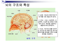 [A+ 추천레포트]아동미술교육] 아동미술교육(어린이미술교육)의 의의와 필요성, 아동미술교육(어린이미술교육)의 관련활동, 아동미술교육(어린이미술교육) 정신분석학적 관점과 심리학, 아동미술교육(어린이미술교 수정 다운 홍보-12