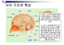 [A+ 추천레포트]아동미술교육] 아동미술교육(어린이미술교육)의 의의와 필요성, 아동미술교육(어린이미술교육)의 관련활동, 아동미술교육(어린이미술교육) 정신분석학적 관점과 심리학, 아동미술교육(어린이미술교 수정 다운 홍보-13