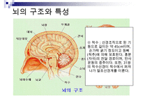 [A+ 추천레포트]아동미술교육] 아동미술교육(어린이미술교육)의 의의와 필요성, 아동미술교육(어린이미술교육)의 관련활동, 아동미술교육(어린이미술교육) 정신분석학적 관점과 심리학, 아동미술교육(어린이미술교 수정 다운 홍보-15