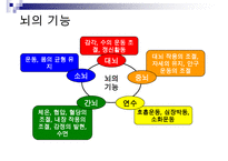 [A+ 추천레포트]아동미술교육] 아동미술교육(어린이미술교육)의 의의와 필요성, 아동미술교육(어린이미술교육)의 관련활동, 아동미술교육(어린이미술교육) 정신분석학적 관점과 심리학, 아동미술교육(어린이미술교 수정 다운 홍보-16