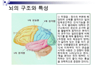 [A+ 추천레포트]아동미술교육] 아동미술교육(어린이미술교육)의 의의와 필요성, 아동미술교육(어린이미술교육)의 관련활동, 아동미술교육(어린이미술교육) 정신분석학적 관점과 심리학, 아동미술교육(어린이미술교 수정 다운 홍보-18