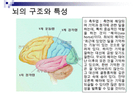 [A+ 추천레포트]아동미술교육] 아동미술교육(어린이미술교육)의 의의와 필요성, 아동미술교육(어린이미술교육)의 관련활동, 아동미술교육(어린이미술교육) 정신분석학적 관점과 심리학, 아동미술교육(어린이미술교 수정 다운 홍보-19