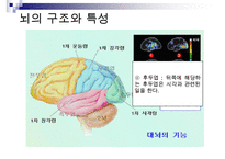 [A+ 추천레포트]아동미술교육] 아동미술교육(어린이미술교육)의 의의와 필요성, 아동미술교육(어린이미술교육)의 관련활동, 아동미술교육(어린이미술교육) 정신분석학적 관점과 심리학, 아동미술교육(어린이미술교 수정 다운 홍보-20