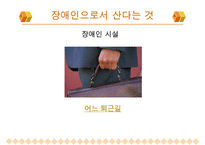 [A+ 추천레포트]장애인교육(특수교육)의 개념, 장애인교육(특수교육)의 특성과 장애인교육(특수교육)의 역사, 장애인교육(특수교육)의 통합 및 장애인교육(특수교육)의 현황, 문제점 그리고 향후 장애인교육(특수 수정 다운 홍보-20