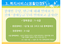 [A+ 추천레포트]장애인복지의 이론적 근거, 장애인 복지 법적근거, 장애인 복지서비스 현황, 장애인복지 문제점, 장애인복지 해결책-19