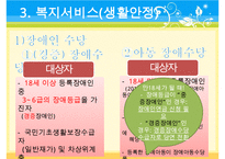 [A+ 추천레포트]장애인복지의 이론적 근거, 장애인 복지 법적근거, 장애인 복지서비스 현황, 장애인복지 문제점, 장애인복지 해결책-20