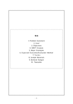 [A+ 추천레포트]NC DINOS의 마케팅 전략 제언_ 신생 야구팀 엔씨 다이노스의 마케팅 전략, SWOT 분석 및 전략 제언 수정 다운 홍보-2