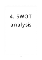 [A+ 추천레포트]NC DINOS의 마케팅 전략 제언_ 신생 야구팀 엔씨 다이노스의 마케팅 전략, SWOT 분석 및 전략 제언 수정 다운 홍보-13