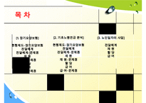 장기요양보험, 기초노령연금 분석, 노인일자리 사업 분석 발표 수정 다운 홍보-2