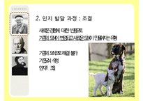 [인지발달이론] 인지발달이론, 장 피아제 인지발달이론, 발달의 일반적 원리, 피아제 이론 관점, 비고츠키 인지발달 이론, 비고츠키 인지발달 관점등 수정 다운 홍보-7