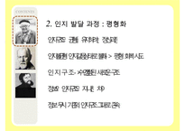 [인지발달이론] 인지발달이론, 장 피아제 인지발달이론, 발달의 일반적 원리, 피아제 이론 관점, 비고츠키 인지발달 이론, 비고츠키 인지발달 관점등 수정 다운 홍보-8