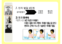 [인지발달이론] 인지발달이론, 장 피아제 인지발달이론, 발달의 일반적 원리, 피아제 이론 관점, 비고츠키 인지발달 이론, 비고츠키 인지발달 관점등 수정 다운 홍보-10