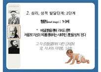 [인지발달이론] 인지발달이론, 장 피아제 인지발달이론, 발달의 일반적 원리, 피아제 이론 관점, 비고츠키 인지발달 이론, 비고츠키 인지발달 관점등 수정 다운 홍보-20