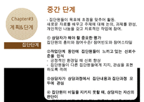 [집담상담] 집단상담의 정의, 필요성, 치료방법, 집단상담 사례(인터넷중독 사례에 대한 집단상담 프로그램작성) 수정 다운 홍보-9