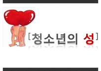 [청소년 성교육 방안] 청소년 성교육의 필요성과 학교 성교육의 문제점 및 사회적 문제점과 성교육 인터뷰, 학교사회복지 방안 수정 다운 홍보-1