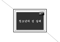 [청소년 성교육 방안] 청소년 성교육의 필요성과 학교 성교육의 문제점 및 사회적 문제점과 성교육 인터뷰, 학교사회복지 방안 수정 다운 홍보-3