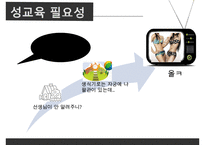 [청소년 성교육 방안] 청소년 성교육의 필요성과 학교 성교육의 문제점 및 사회적 문제점과 성교육 인터뷰, 학교사회복지 방안 수정 다운 홍보-5