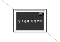 [청소년 성교육 방안] 청소년 성교육의 필요성과 학교 성교육의 문제점 및 사회적 문제점과 성교육 인터뷰, 학교사회복지 방안 수정 다운 홍보-16