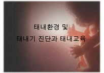[태내기] 태내 환경 및 태내기 진단(유전상담, 초음파, 융모, 양수검사등), 태내기 교육(전통, 현대적), 태내기에 대한 견해PPT자료 수정 다운 홍보-1