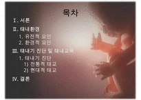 [태내기] 태내 환경 및 태내기 진단(유전상담, 초음파, 융모, 양수검사등), 태내기 교육(전통, 현대적), 태내기에 대한 견해PPT자료 수정 다운 홍보-2