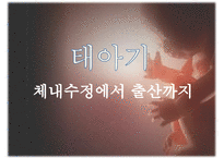 [태내기] 태내 환경 및 태내기 진단(유전상담, 초음파, 융모, 양수검사등), 태내기 교육(전통, 현대적), 태내기에 대한 견해PPT자료 수정 다운 홍보-3