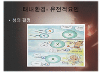 [태내기] 태내 환경 및 태내기 진단(유전상담, 초음파, 융모, 양수검사등), 태내기 교육(전통, 현대적), 태내기에 대한 견해PPT자료 수정 다운 홍보-4