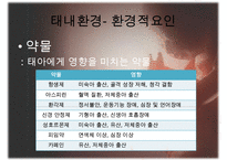 [태내기] 태내 환경 및 태내기 진단(유전상담, 초음파, 융모, 양수검사등), 태내기 교육(전통, 현대적), 태내기에 대한 견해PPT자료 수정 다운 홍보-11