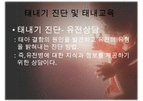 [태내기] 태내 환경 및 태내기 진단(유전상담, 초음파, 융모, 양수검사등), 태내기 교육(전통, 현대적), 태내기에 대한 견해PPT자료 수정 다운 홍보-13