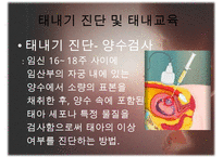 [태내기] 태내 환경 및 태내기 진단(유전상담, 초음파, 융모, 양수검사등), 태내기 교육(전통, 현대적), 태내기에 대한 견해PPT자료 수정 다운 홍보-17