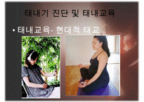 [태내기] 태내 환경 및 태내기 진단(유전상담, 초음파, 융모, 양수검사등), 태내기 교육(전통, 현대적), 태내기에 대한 견해PPT자료 수정 다운 홍보-20