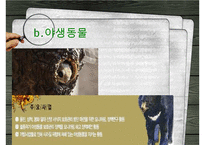[NGO-녹색연합] 개념, 역할과 기능, NGO 녹색연합 주요사업, NGO 녹색연합 업무, NGO 비아 녹색연합 나아갈 방향, 결론 등등 수정 다운 홍보-13
