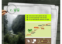 [NGO-녹색연합] 개념, 역할과 기능, NGO 녹색연합 주요사업, NGO 녹색연합 업무, NGO 비아 녹색연합 나아갈 방향, 결론 등등 수정 다운 홍보-14