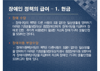 장애인 복지 정책의 특징 및 필요성과 문제점 및 개선방안)-13
