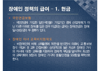 장애인 복지 정책의 특징 및 필요성과 문제점 및 개선방안)-14