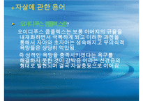 [자살 대책방안] 자살률의 증가로 인한 사회적 문제와 자살의 원인 및 자살문제 대책방안-17